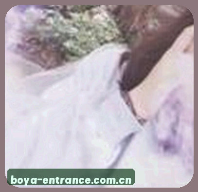老李